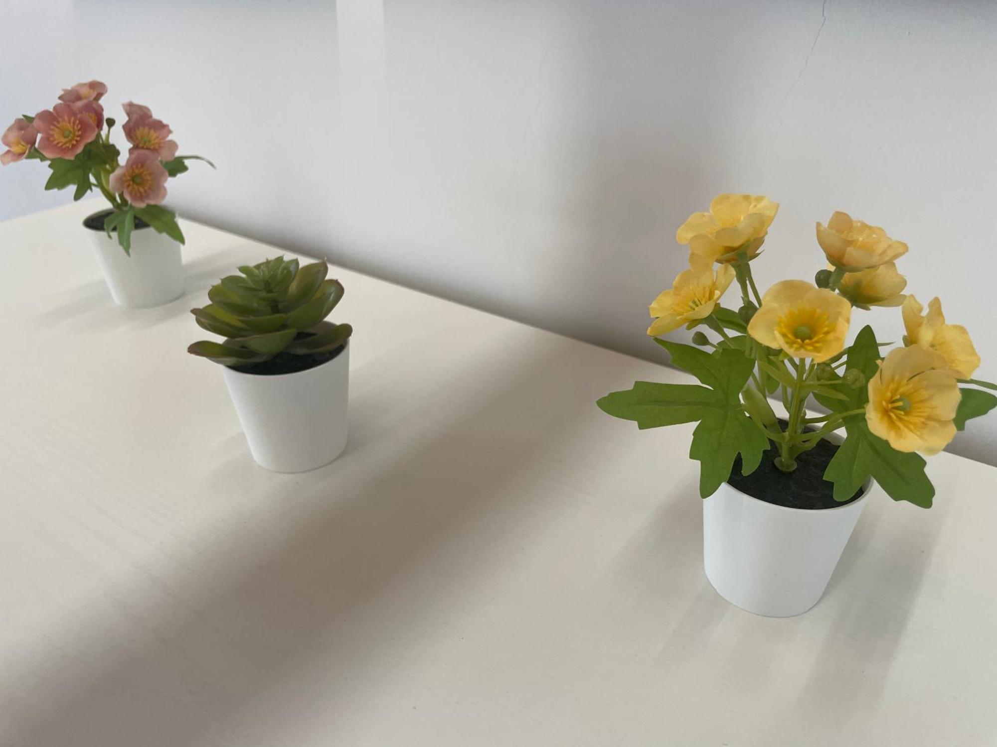 Annabella'S Home Agropoli Ngoại thất bức ảnh